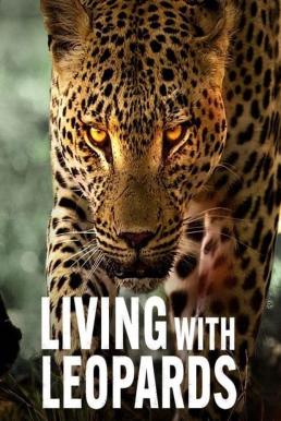 Living with Leopards อยู่กับเสือดาว (2024) NETFLIX บรรยายไทย