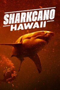 Sharkcano Hawaii ฉลามคาโน ฮาวาย