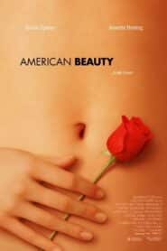 American Beauty อเมริกัน บิวตี้
